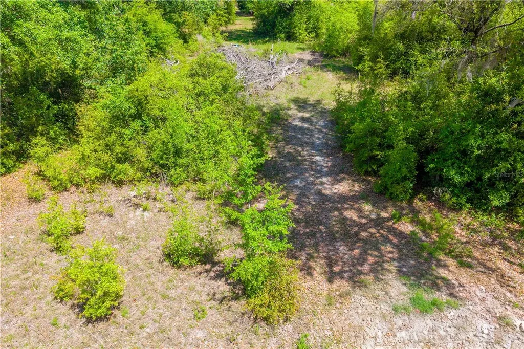 Tbd SW 52nd Terrace Lake Butler FL 32054