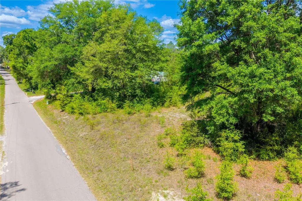 Tbd SW 52nd Terrace Lake Butler FL 32054
