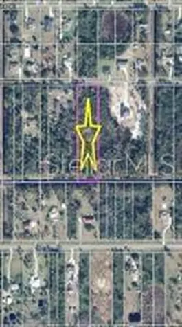 Ralston Street Orlando FL 32833