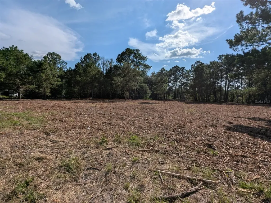 5781 SW 91st Place Lake Butler FL 32054