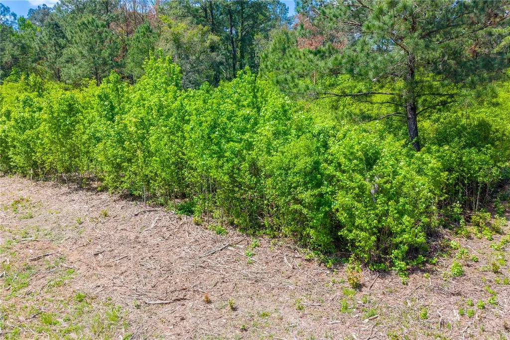5781 SW 91st Place Lake Butler FL 32054