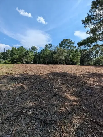 5781 SW 91st Place Lake Butler FL 32054