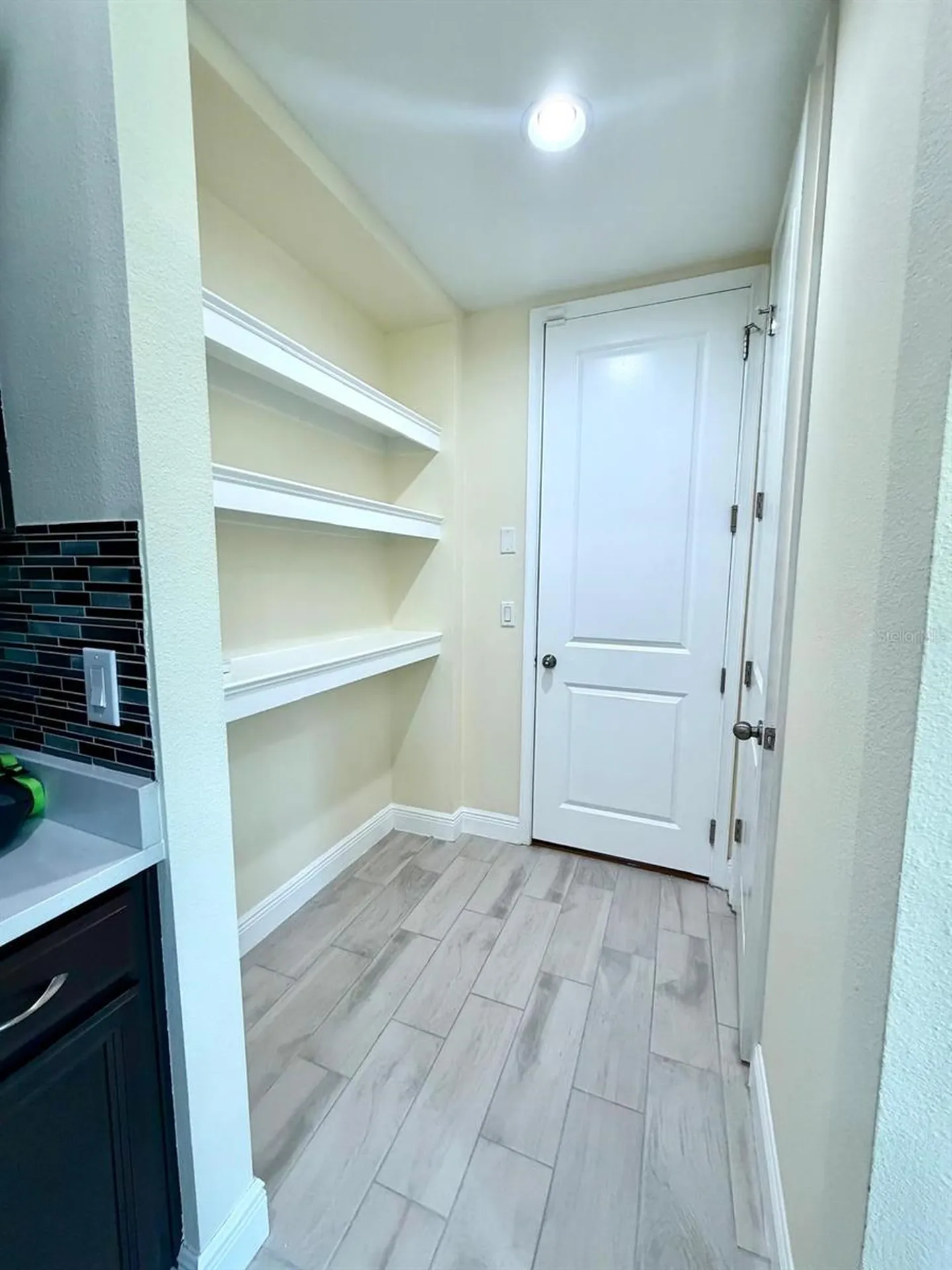 6206 Scarlet Darter Way Tampa FL 33625