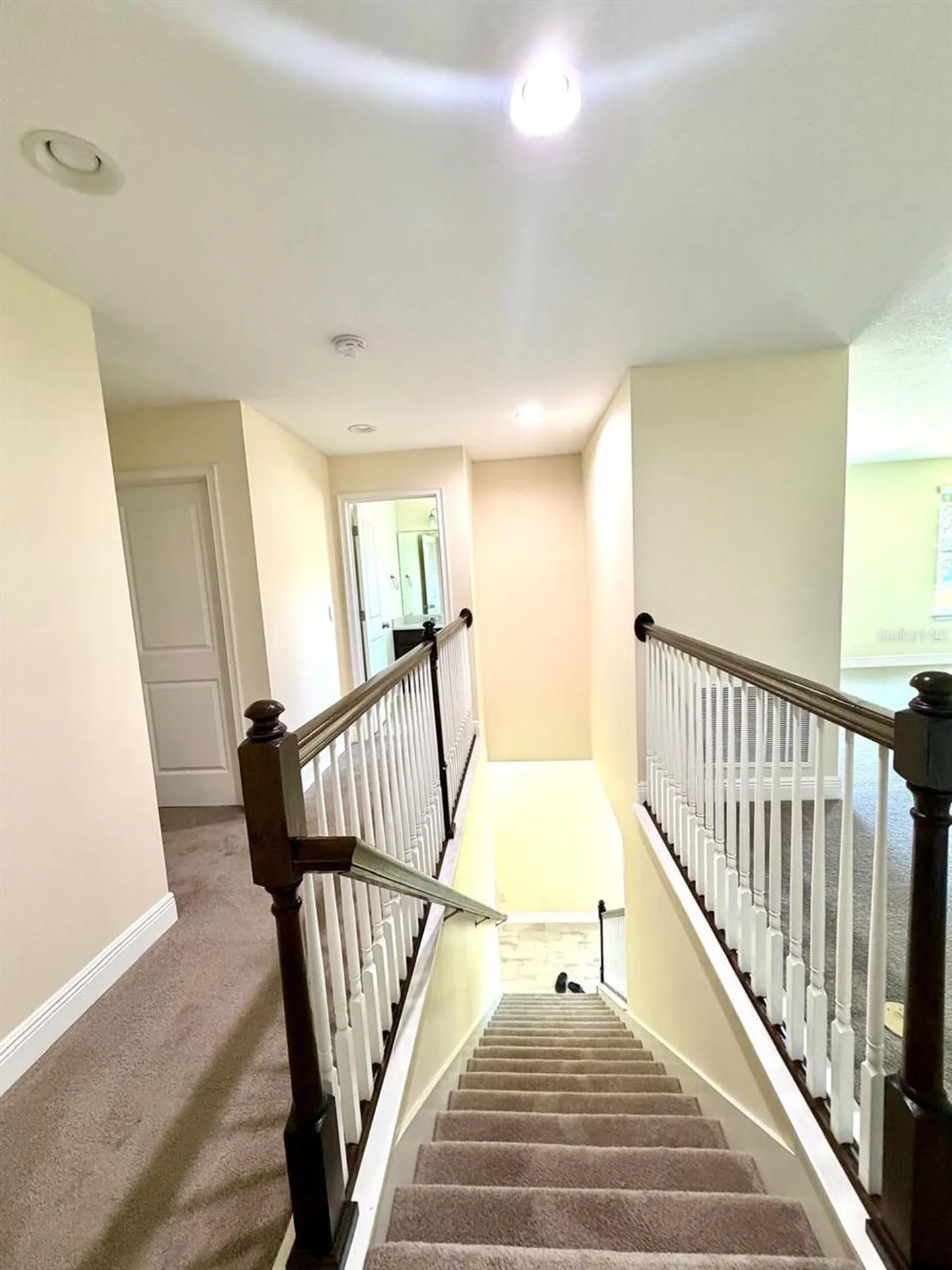 6206 Scarlet Darter Way Tampa FL 33625