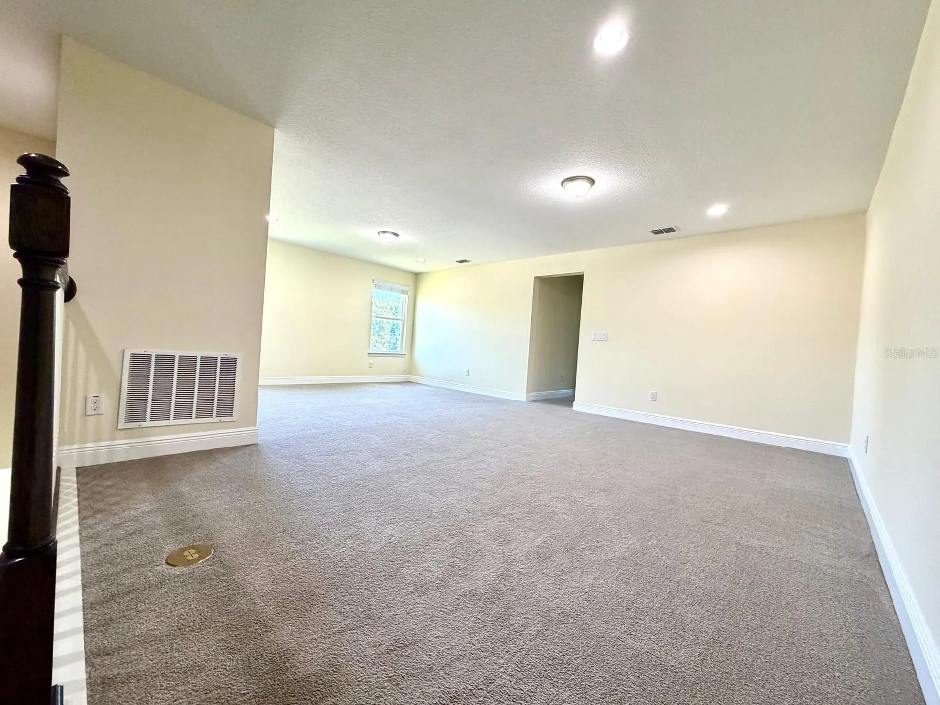 6206 Scarlet Darter Way Tampa FL 33625