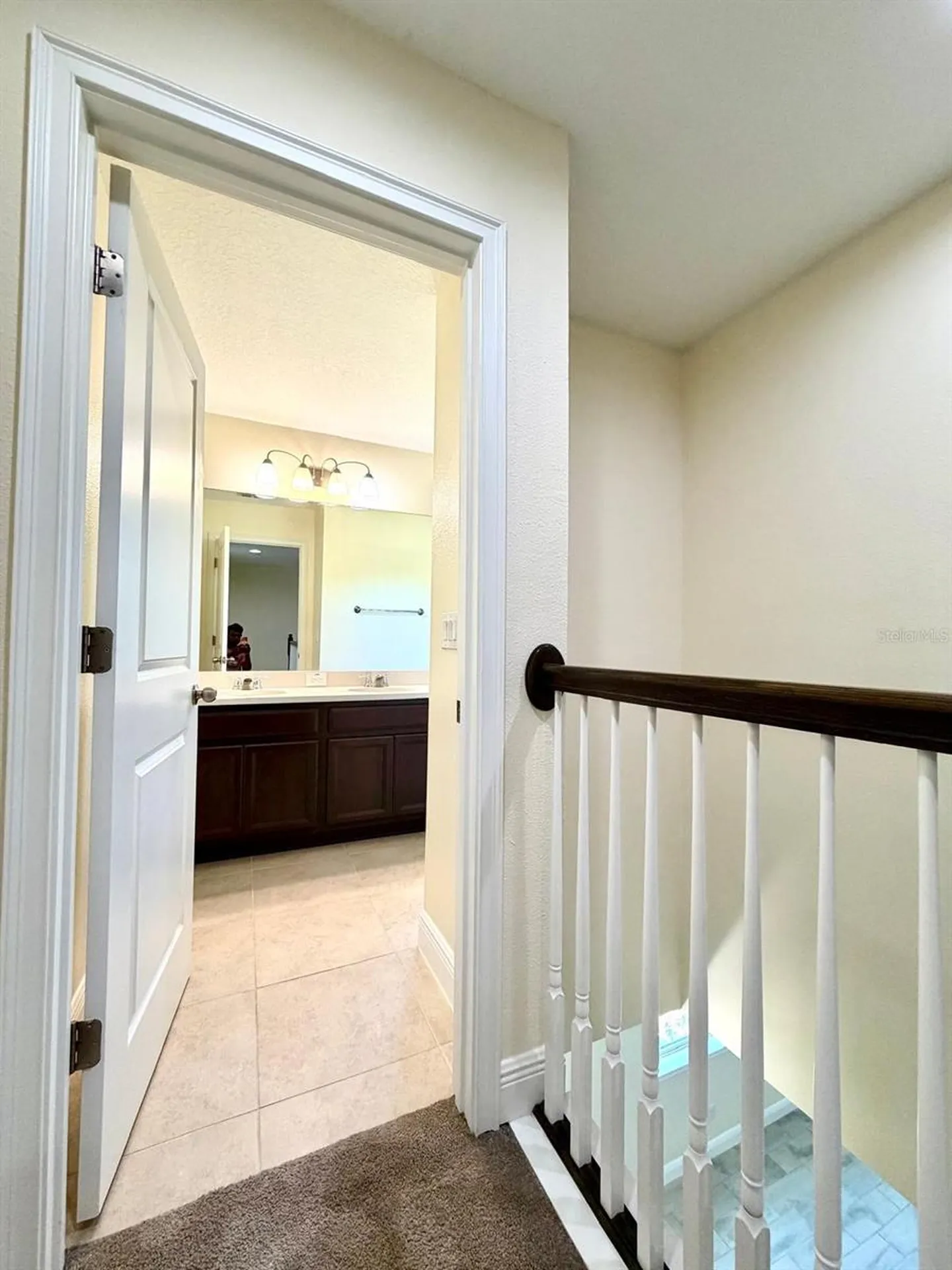 6206 Scarlet Darter Way Tampa FL 33625