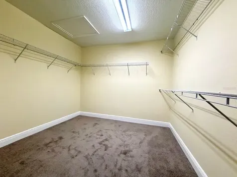 6206 Scarlet Darter Way Tampa FL 33625
