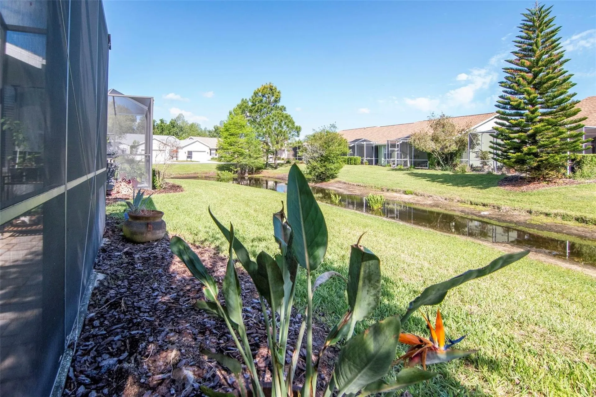 7308 Cleopatra Drive Land O Lakes FL 34637