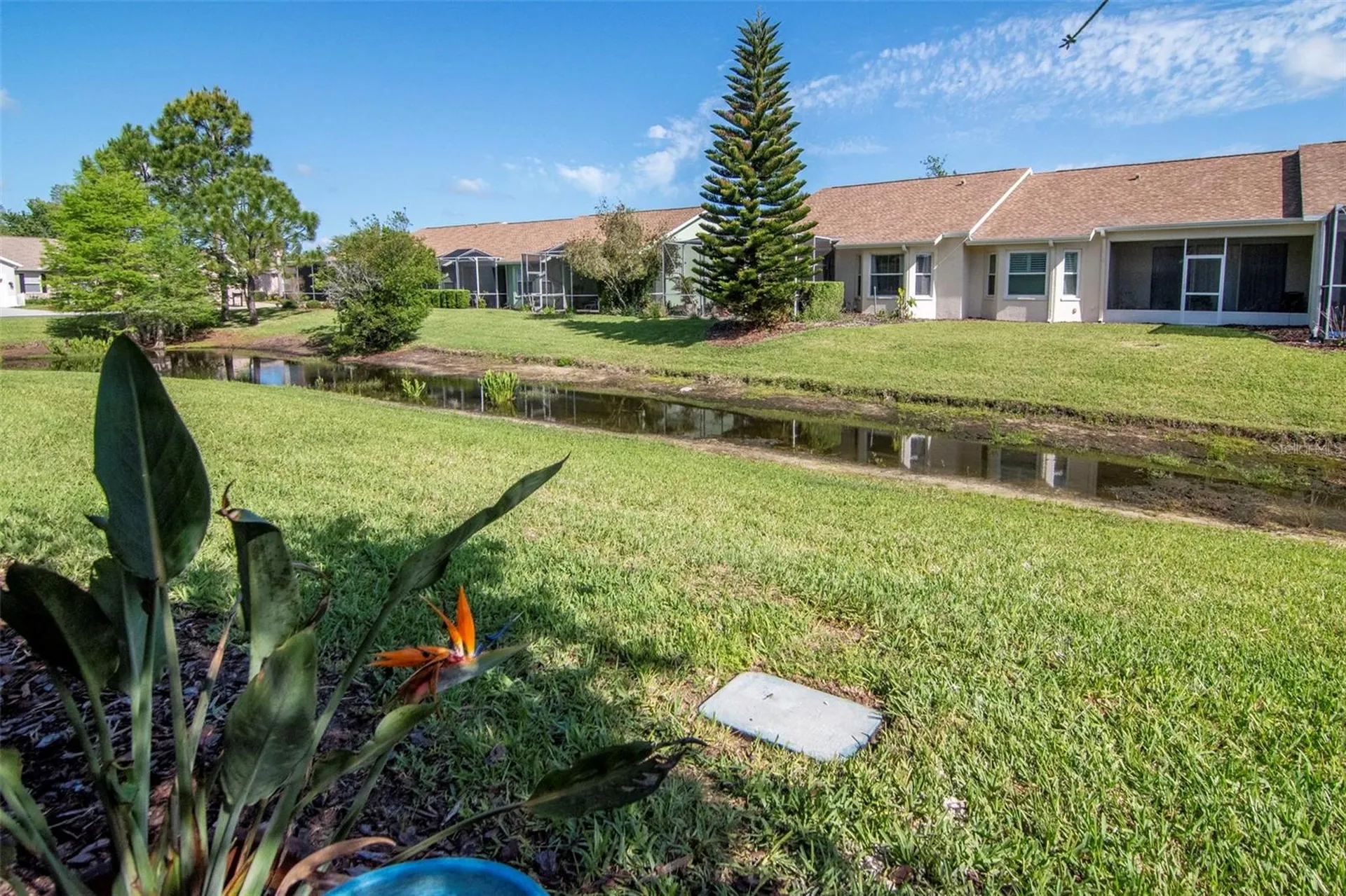 7308 Cleopatra Drive Land O Lakes FL 34637