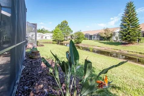7308 Cleopatra Drive Land O Lakes FL 34637
