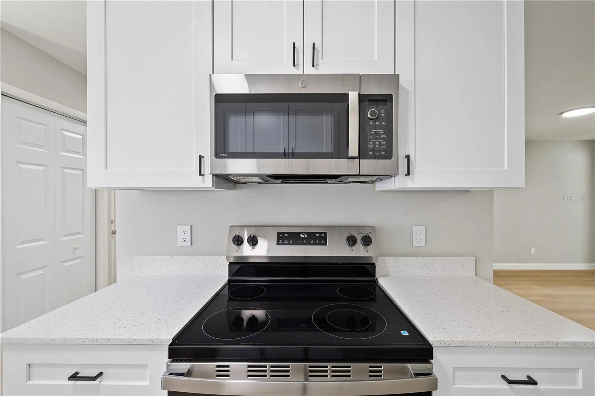 2054 Waterleaf Street Orlando FL 32837