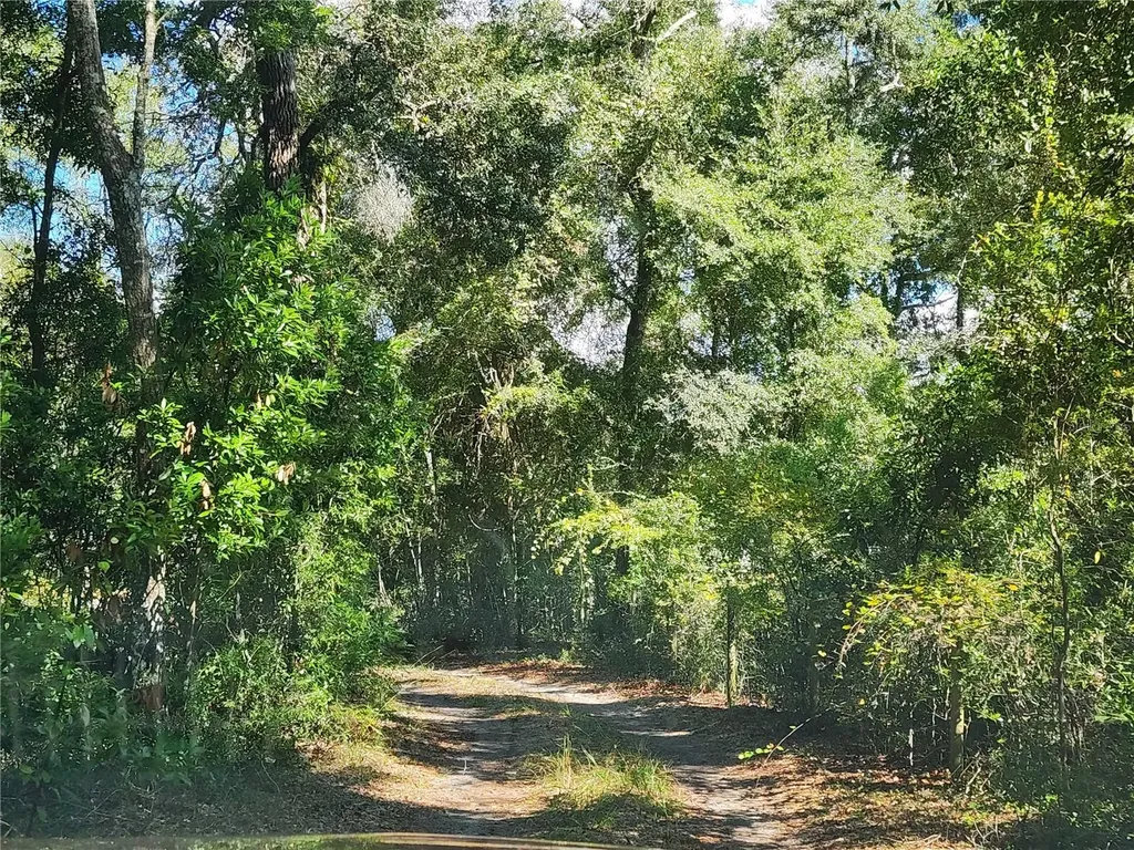 7910 NW 141st Street Trenton FL 32693