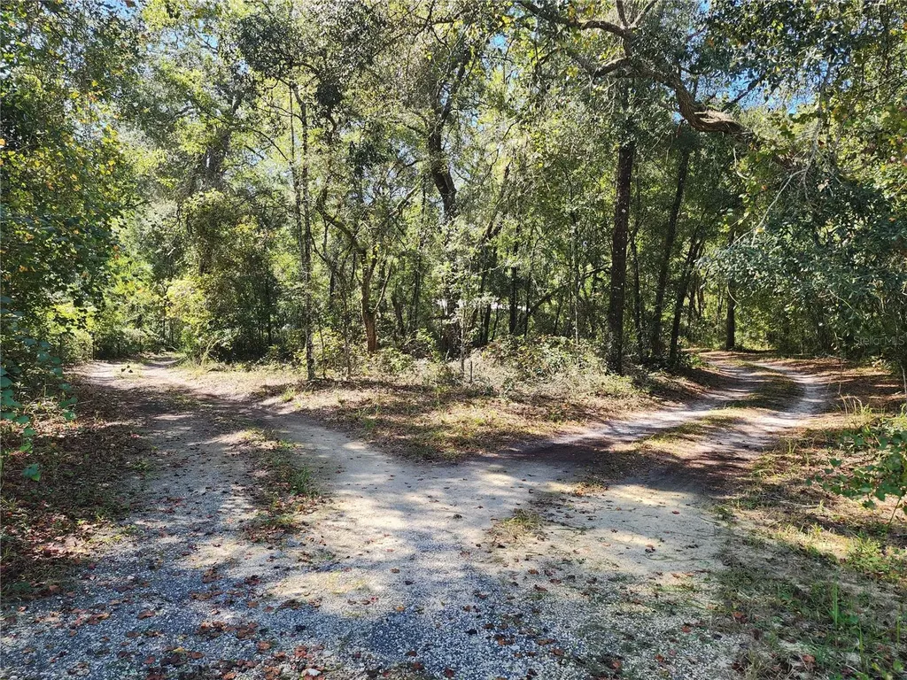 7910 NW 141st Street Trenton FL 32693