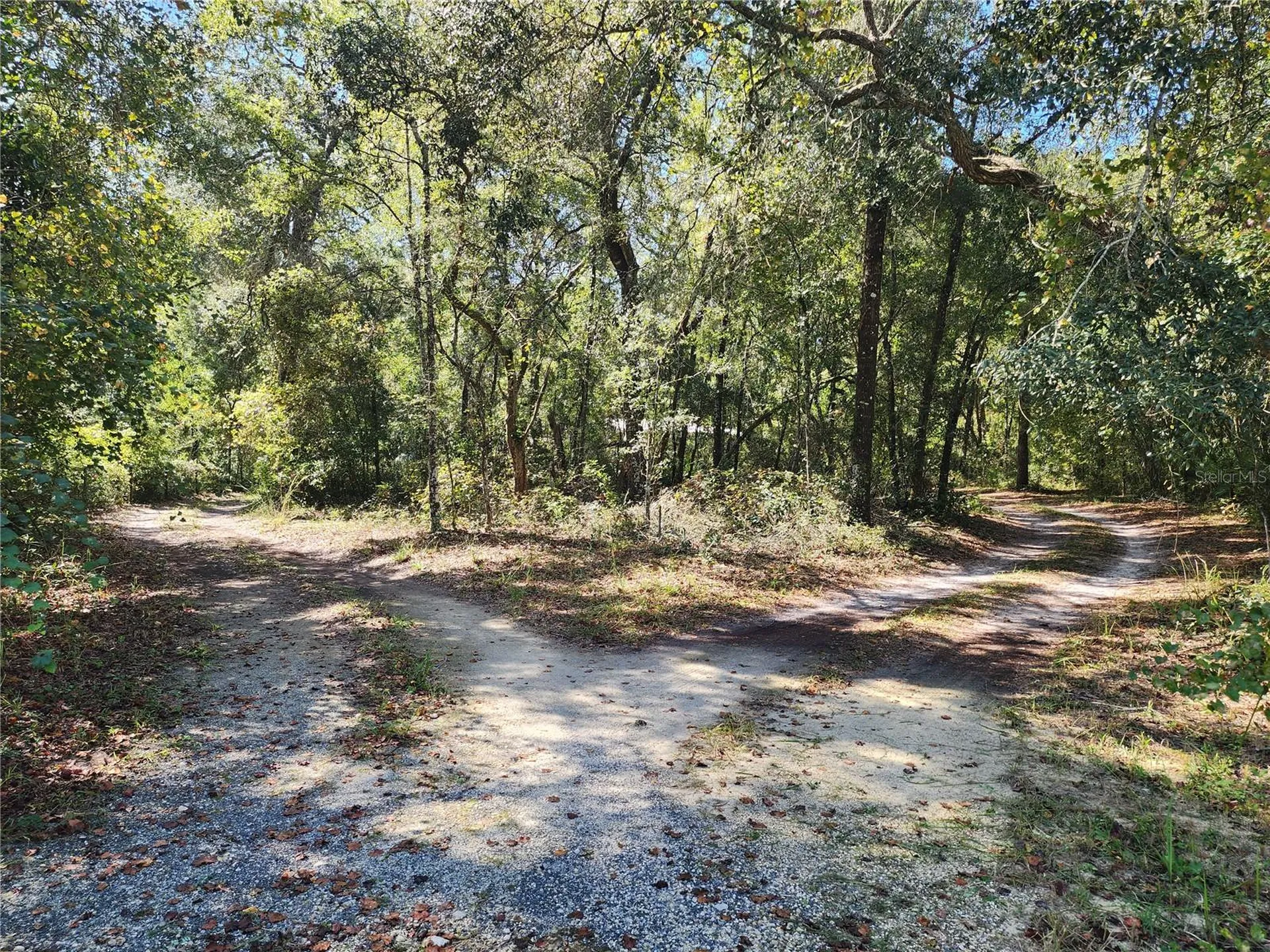 7910 NW 141st Street Trenton FL 32693