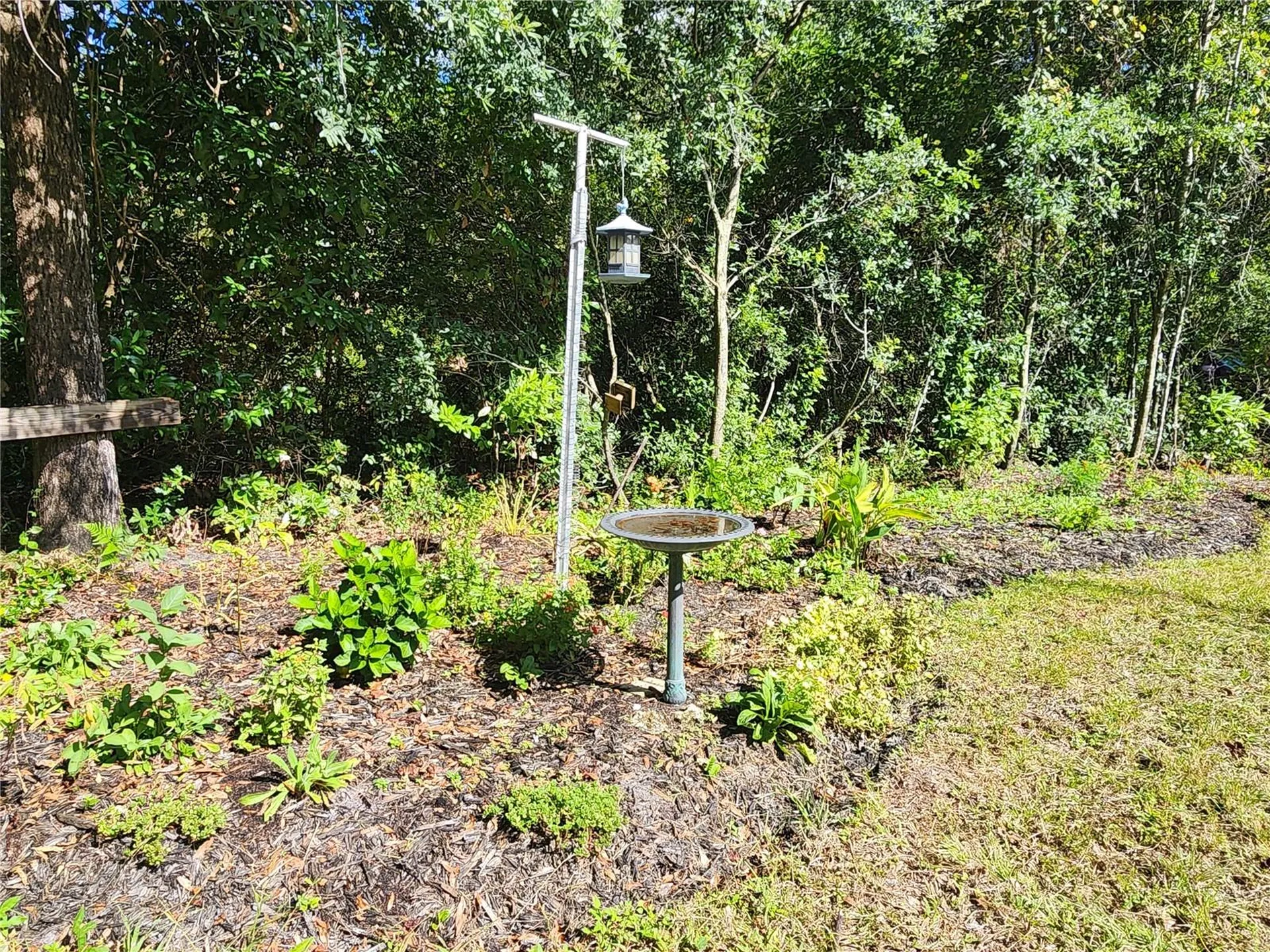 7910 NW 141st Street Trenton FL 32693