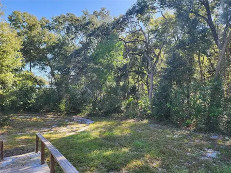 7910 NW 141st Street Trenton FL 32693