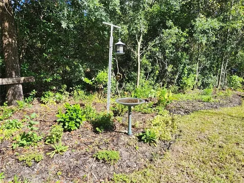 7910 NW 141st Street Trenton FL 32693