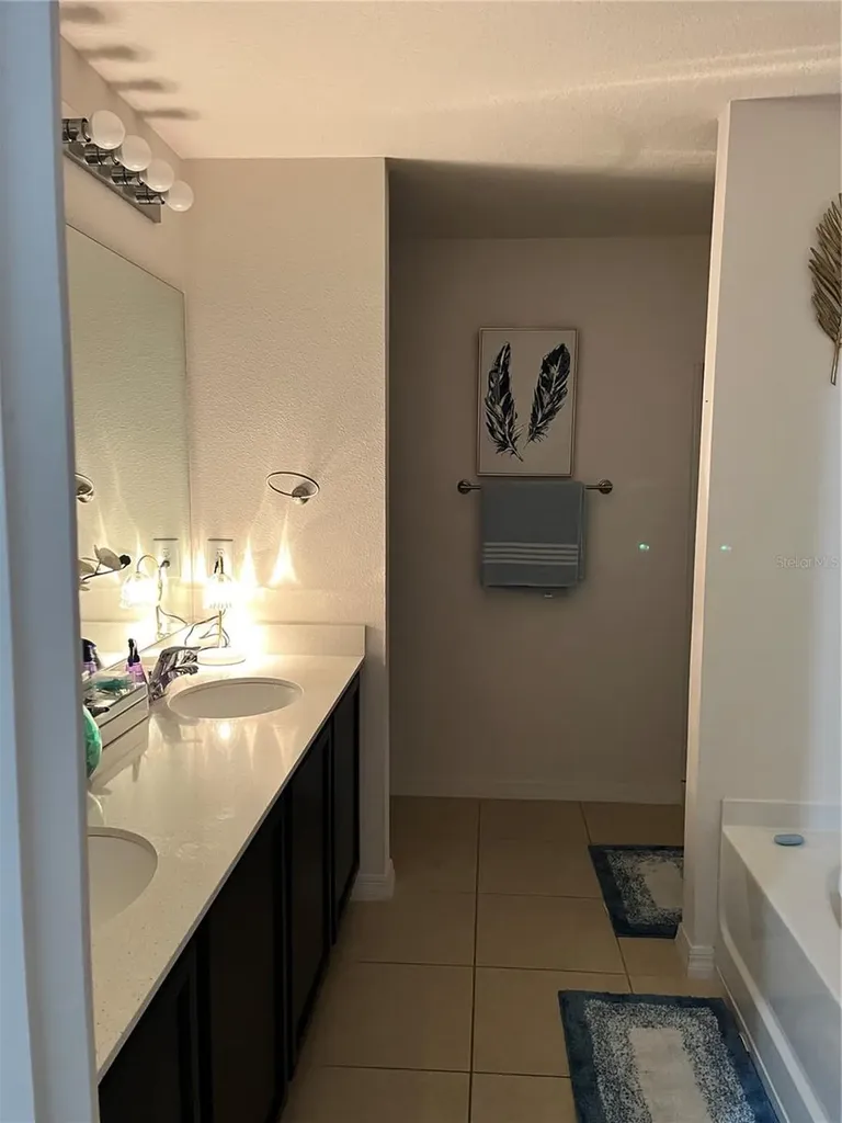 2121 Hibiscus Place Kissimmee FL 34759
