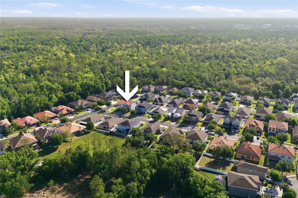 2602 Bartolo Drive Land O Lakes FL 34639