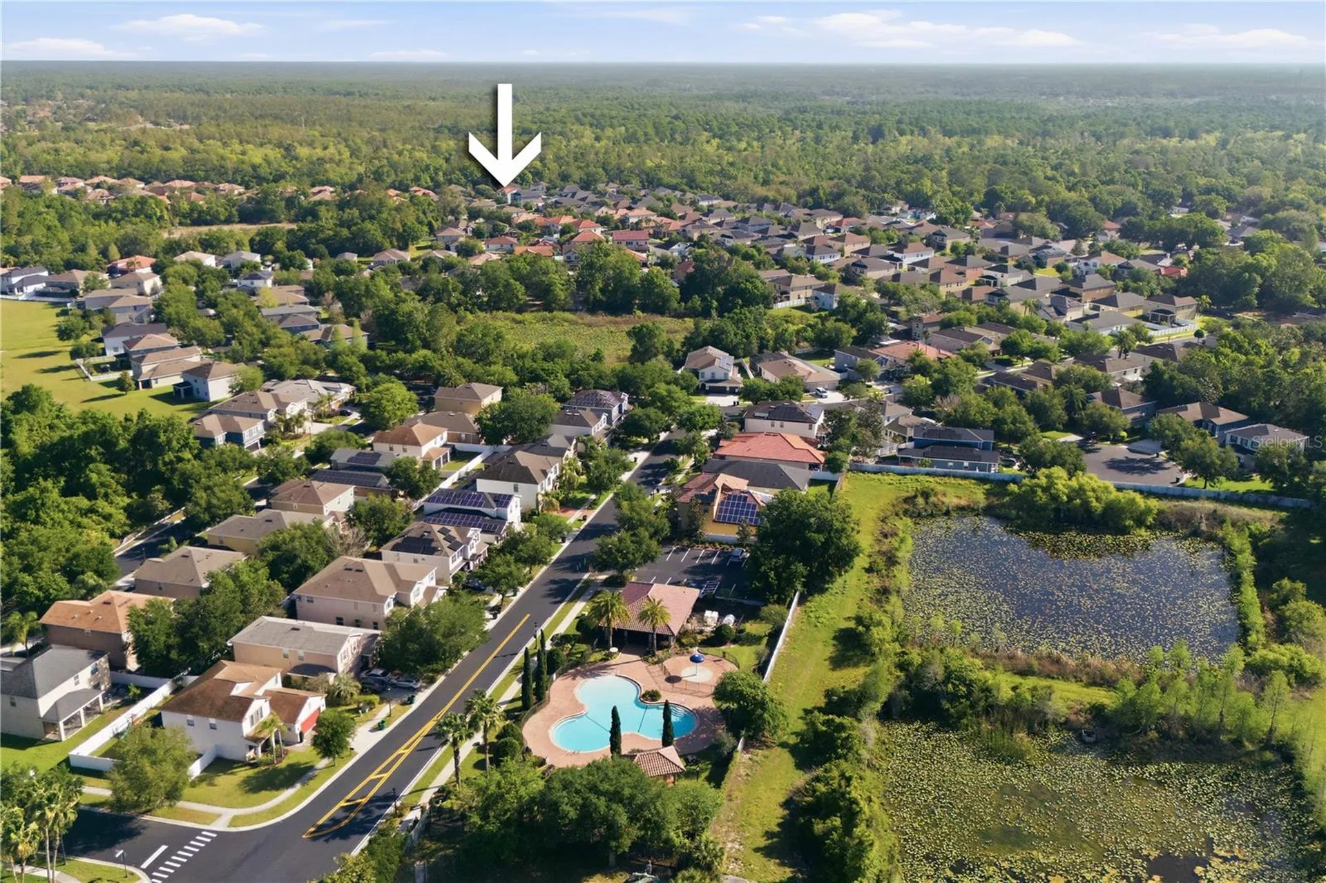 2602 Bartolo Drive Land O Lakes FL 34639
