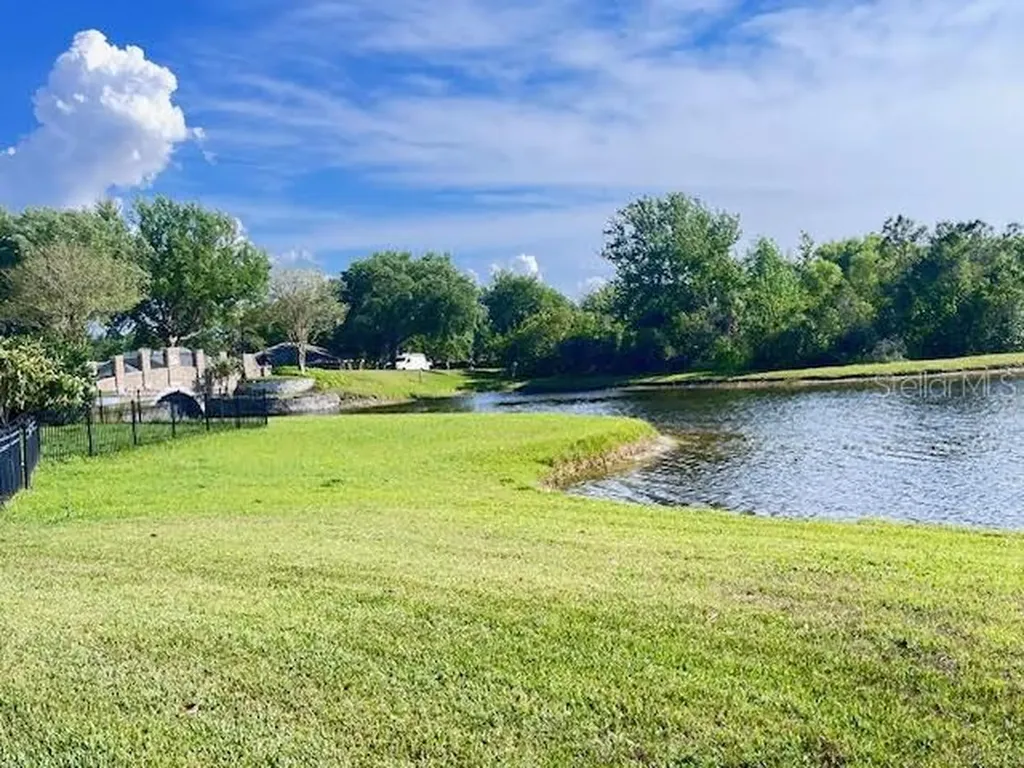 16313 Bridgecrossing Drive Lithia FL 33547