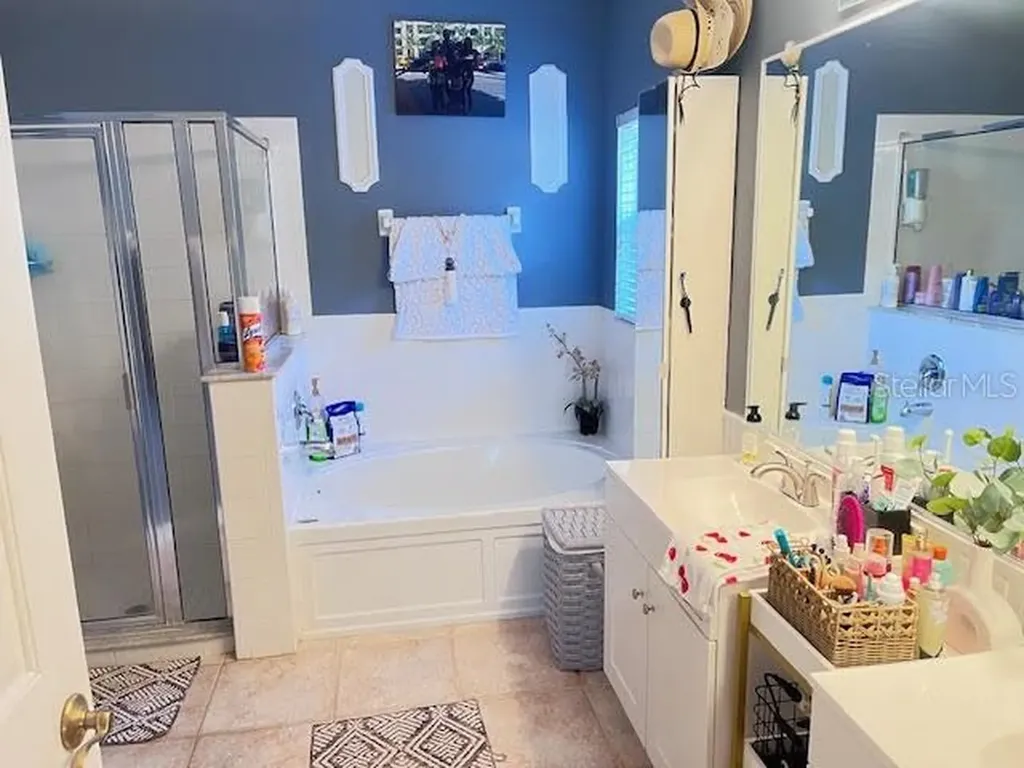 16313 Bridgecrossing Drive Lithia FL 33547