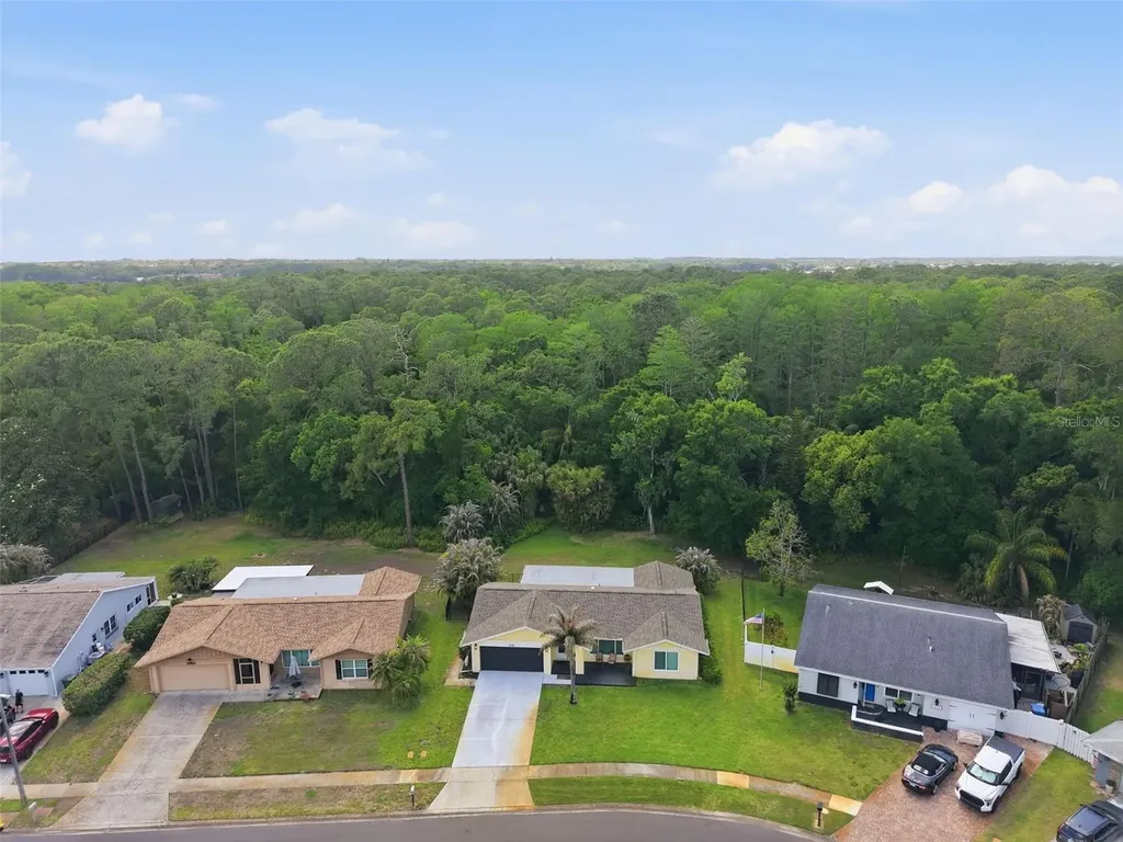 1010 Mainsail Way Palm Harbor FL 34685