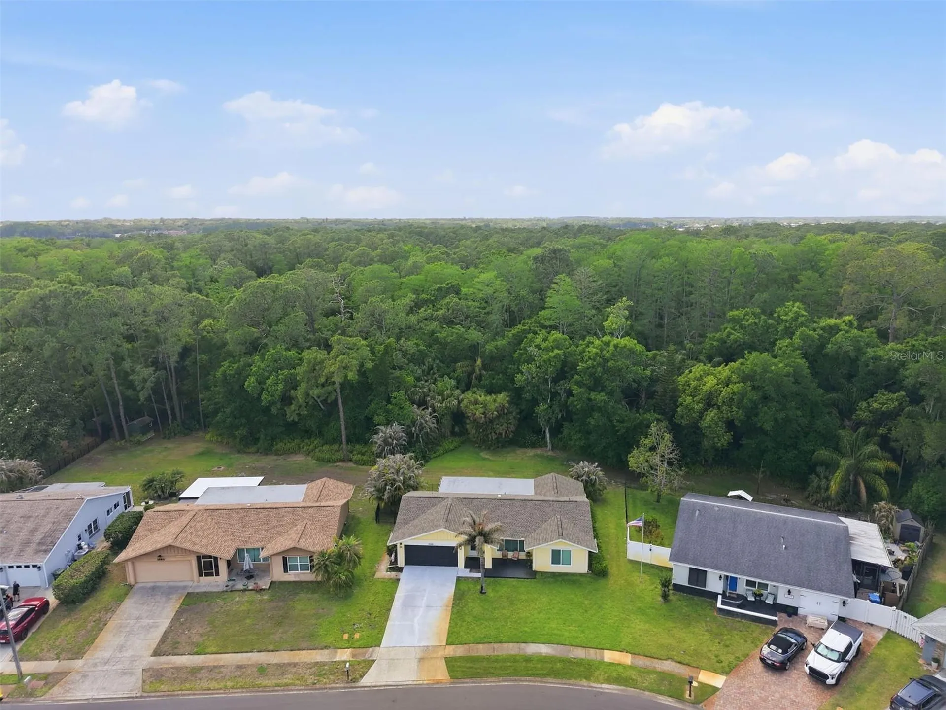 1010 Mainsail Way Palm Harbor FL 34685