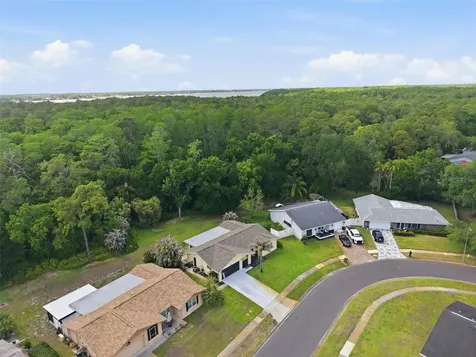 1010 Mainsail Way Palm Harbor FL 34685