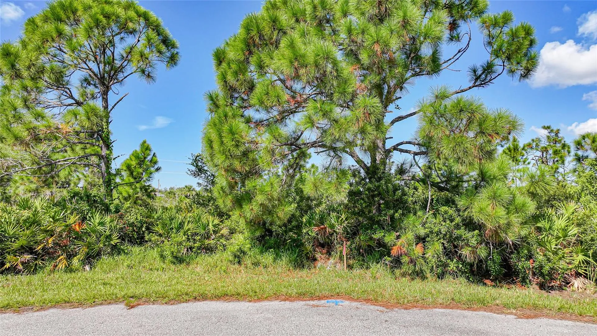 12 Dog Court Placida FL 33946