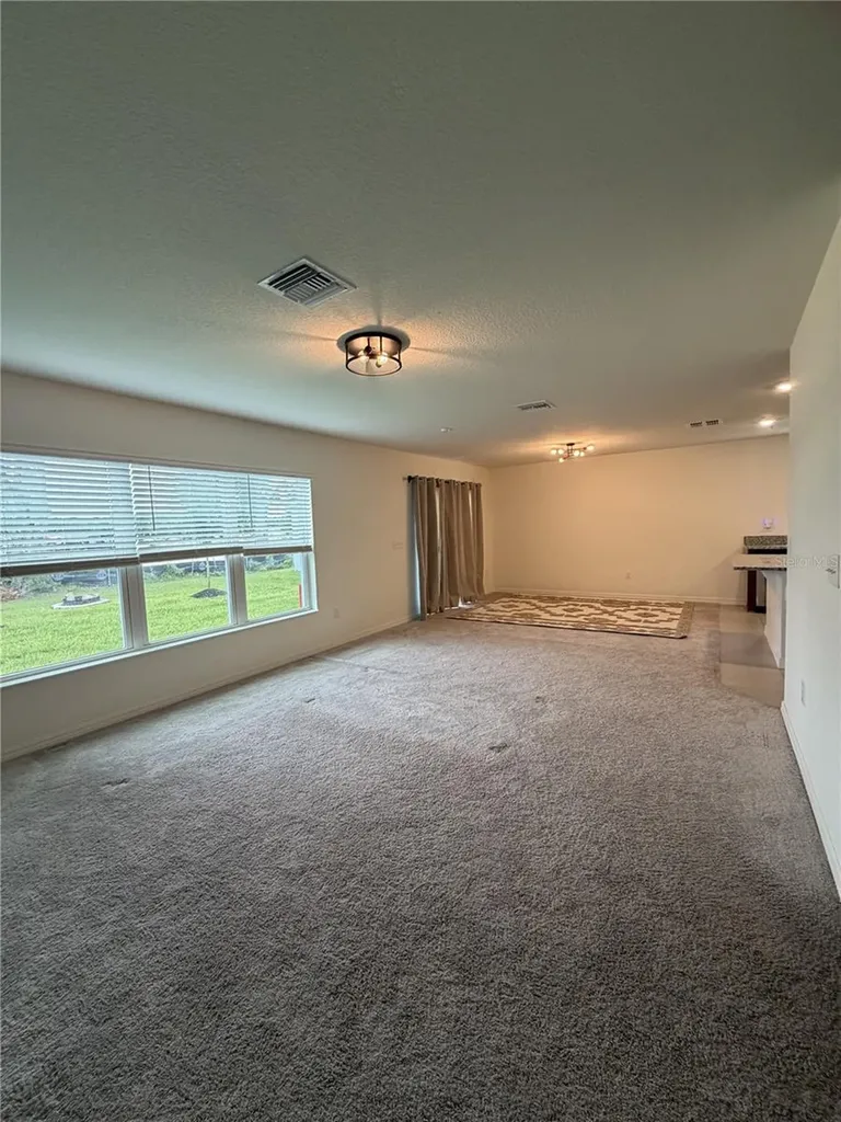 8328 Wilder Pines Avenue Lakeland FL 33809