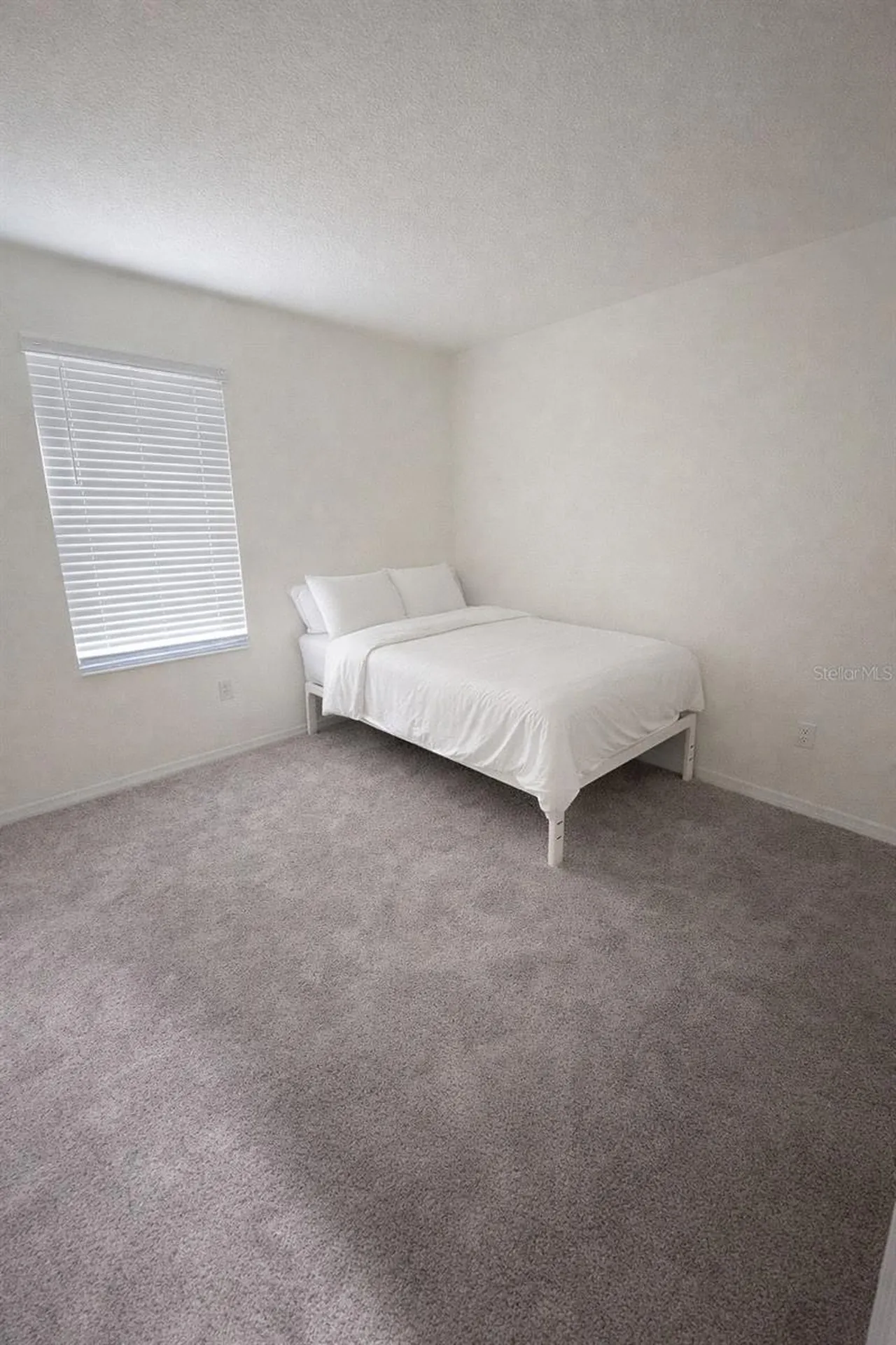 8328 Wilder Pines Avenue Lakeland FL 33809