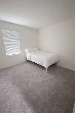 8328 Wilder Pines Avenue Lakeland FL 33809