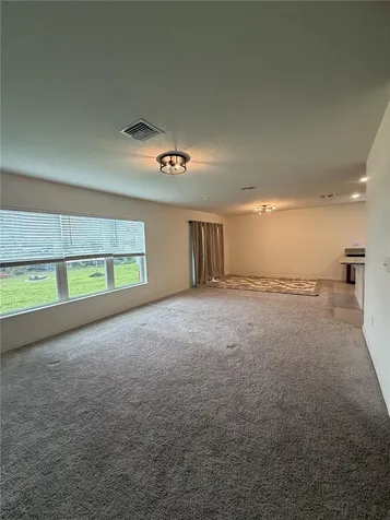 8328 Wilder Pines Avenue Lakeland FL 33809