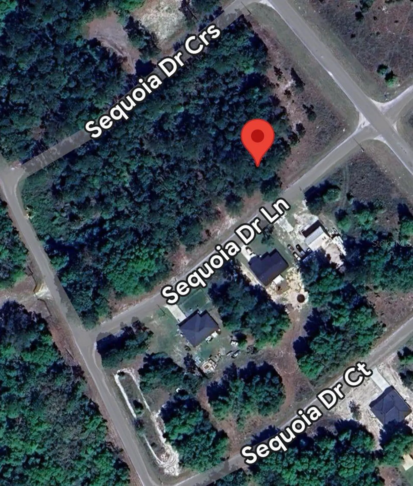 33 Sequoia Drive Lane Ocklawaha FL 32179