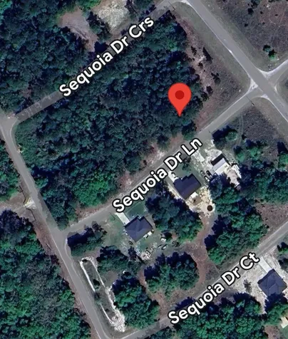 33 Sequoia Drive Lane Ocklawaha FL 32179