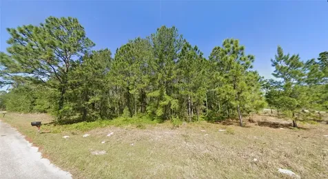 33 Sequoia Drive Lane Ocklawaha FL 32179