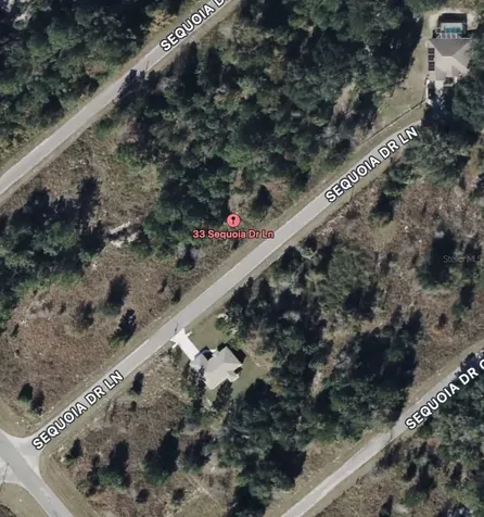 33 Sequoia Drive Lane Ocklawaha FL 32179