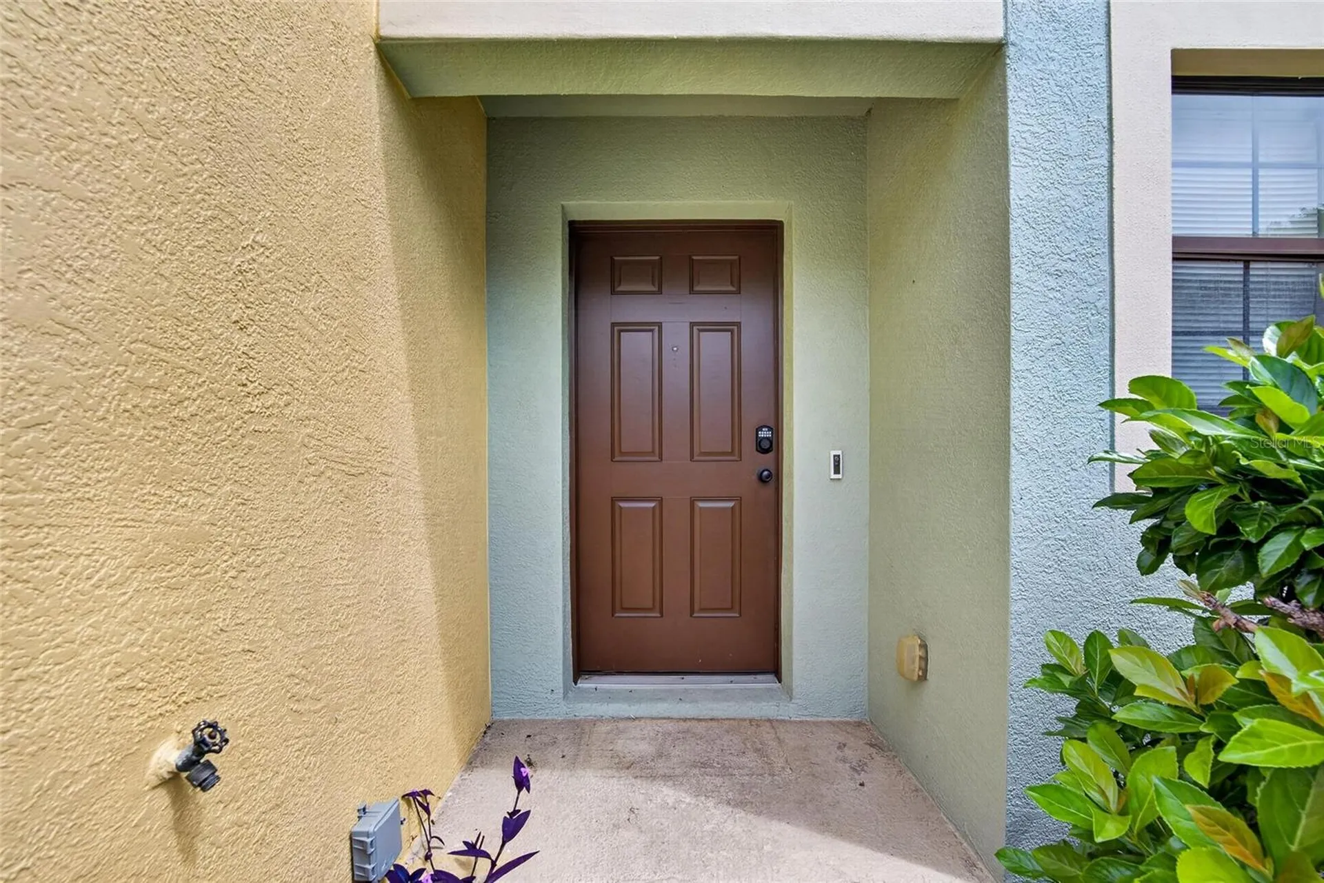2605 Oleander Lakes Drive Brandon FL 33511