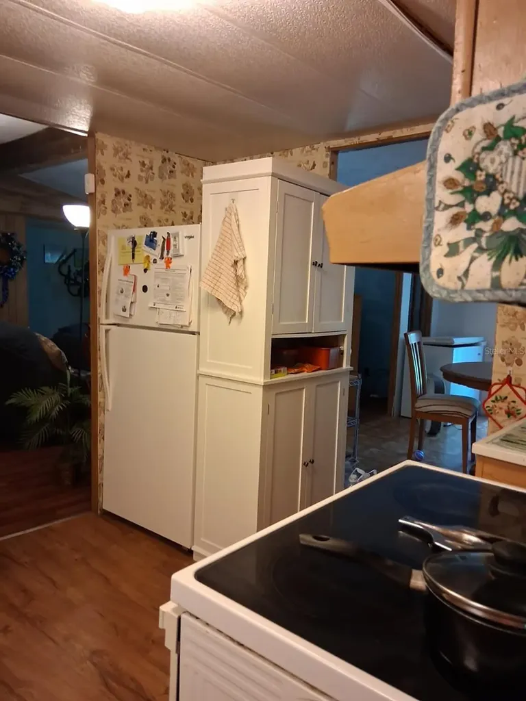13600 NE 166th Street Fort Mc Coy FL 32134