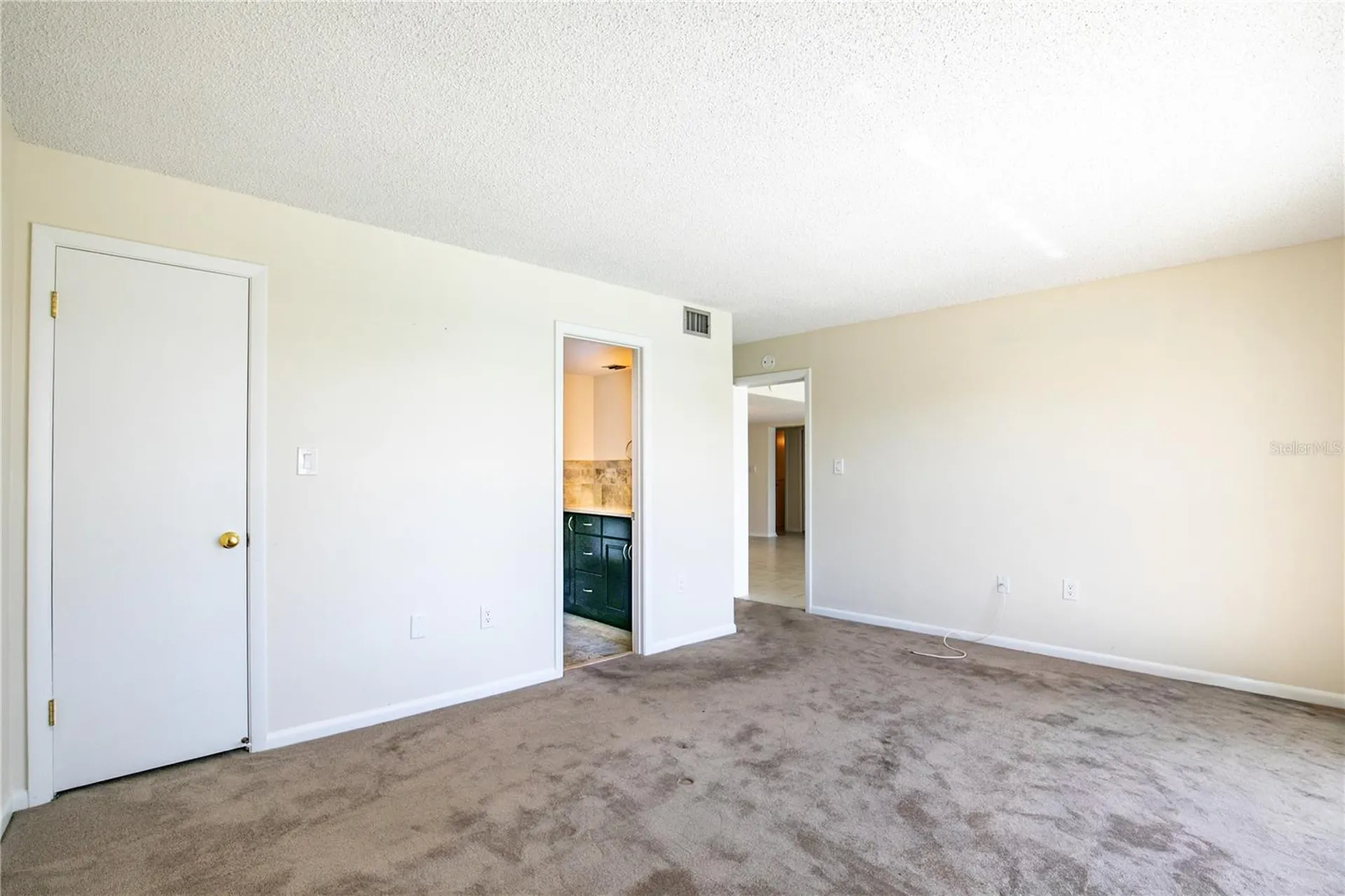 601 Mcdonald Street Mount Dora FL 32757