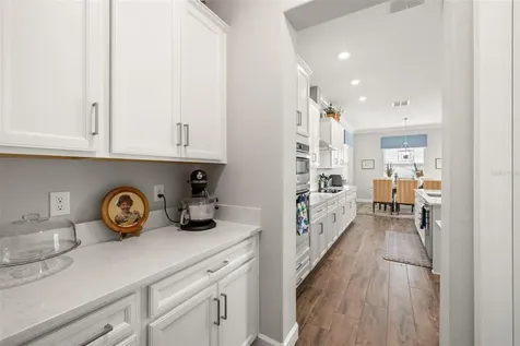 16938 Scuba Crest Street Wimauma FL 33598