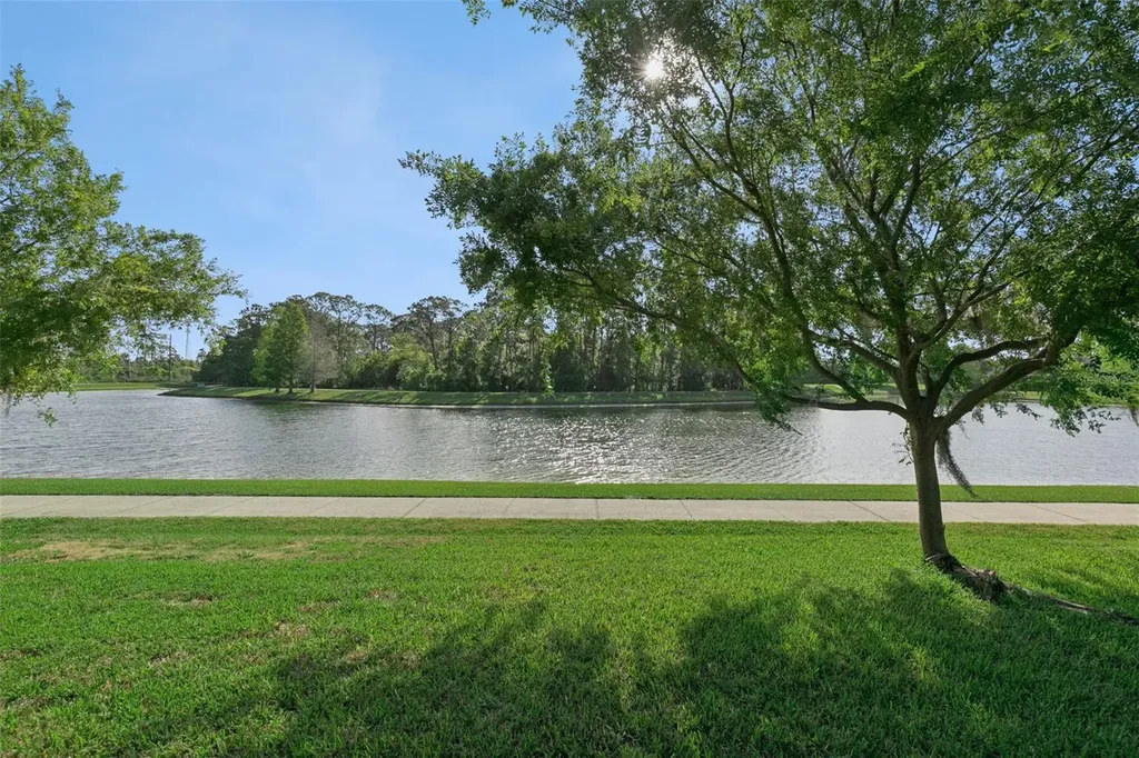 7137 Beek Street Windermere FL 34786