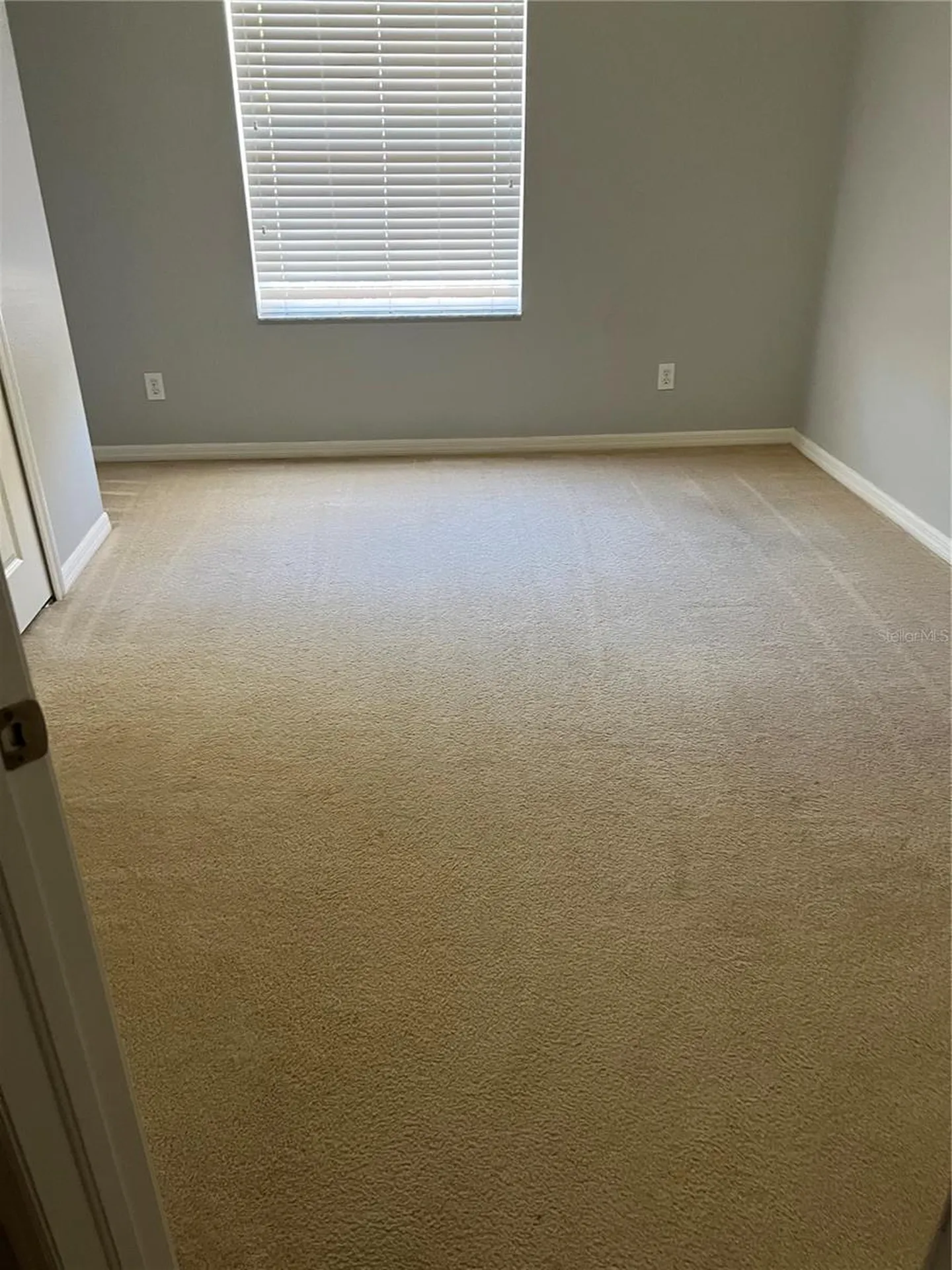 20027 Heritage Pointe Tampa FL 33647