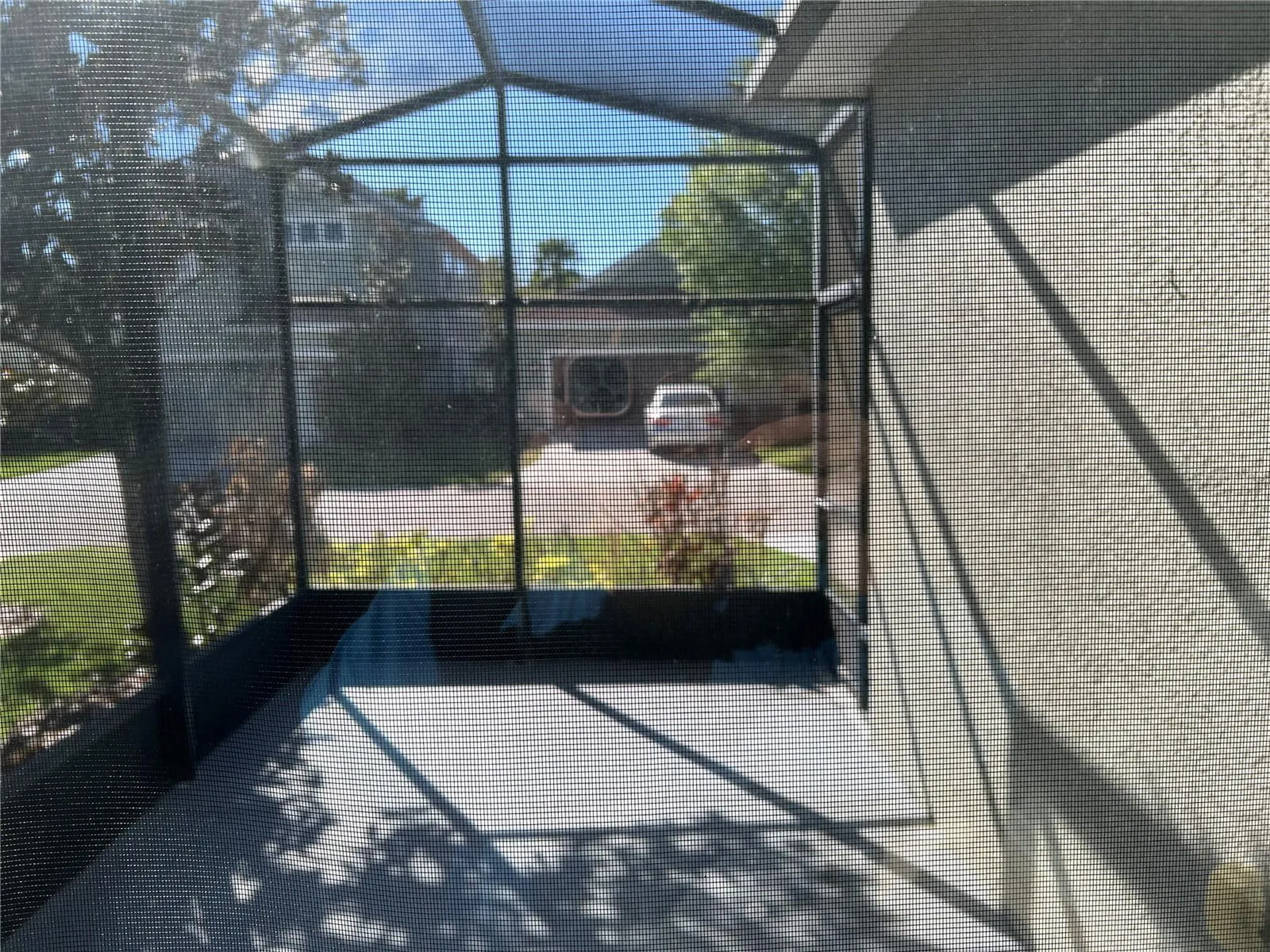 20027 Heritage Pointe Tampa FL 33647