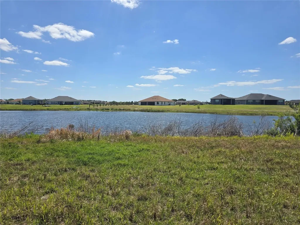 5247 Lake Venice Drive Wimauma FL 33598