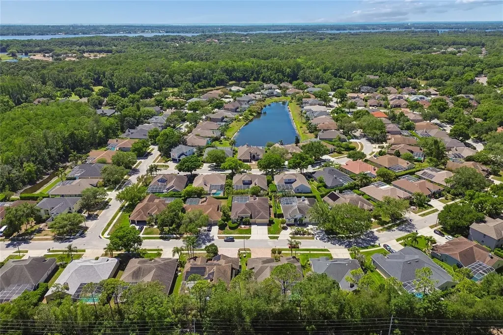 4227 Auston Way Palm Harbor FL 34685