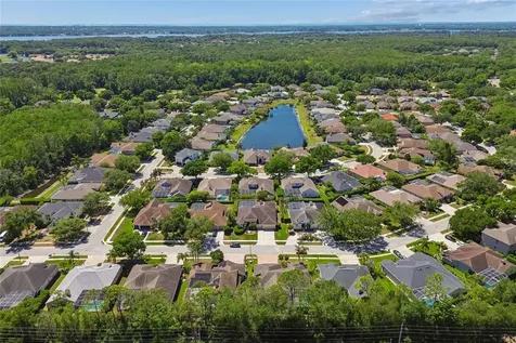 4227 Auston Way Palm Harbor FL 34685