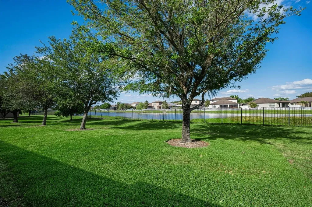 1933 Arbor Knoll Loop Trinity FL 34655