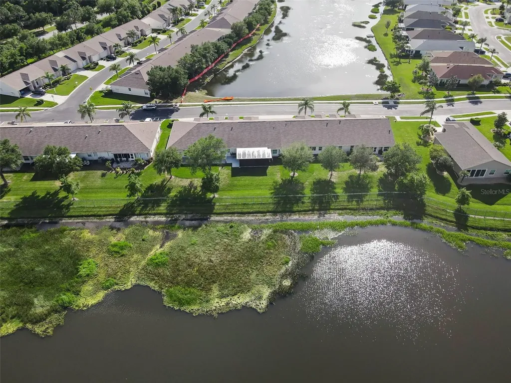 1933 Arbor Knoll Loop Trinity FL 34655